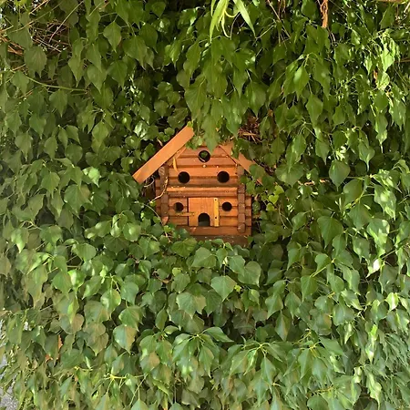 Country house Spacieuse Ferme Vosgienne Renovee - 8 Pers.